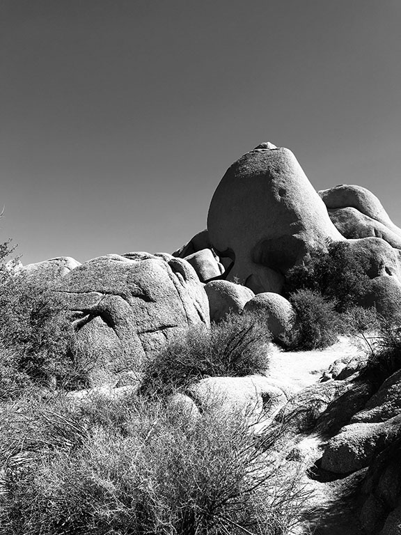 Joshua Tree National Park