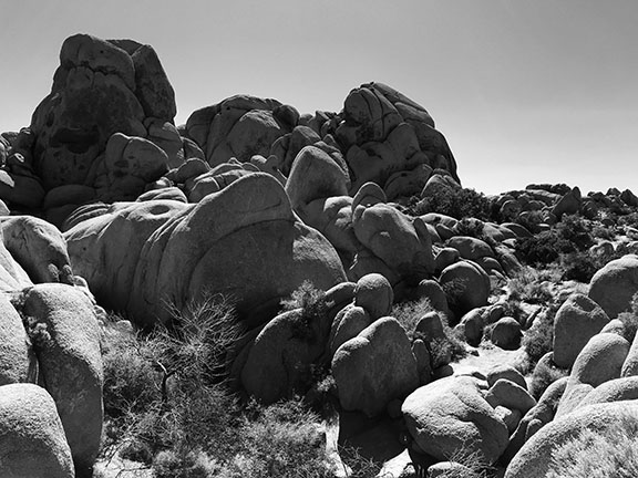 Joshua Tree National Park